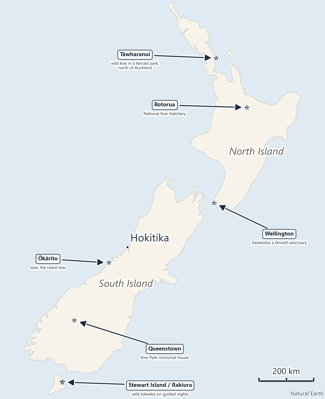 Map of New Zealand comparing kiwi places: Stewart Island / Rakiura in the far south for wild tokoeka, Tāwharanui north of Auckland for wild kiwi in a fenced park, and the National Kiwi Hatchery at Rotorua, with Zealandia in Wellington, Ōkārito and Queenstown